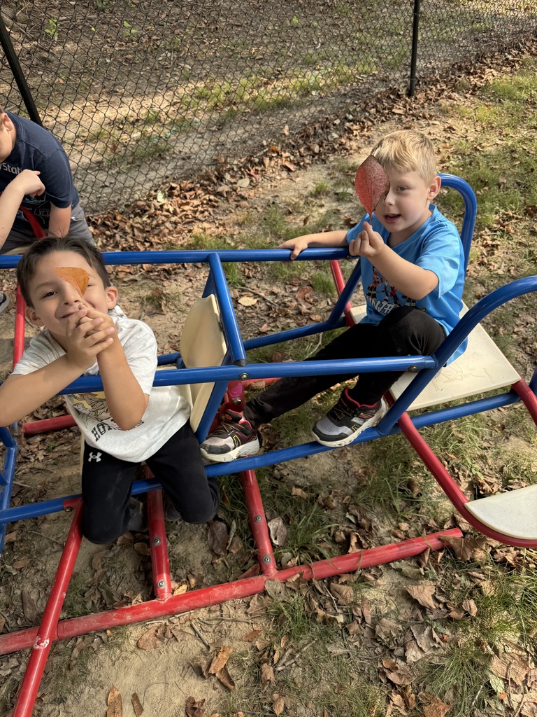 Showing our fall leaves!