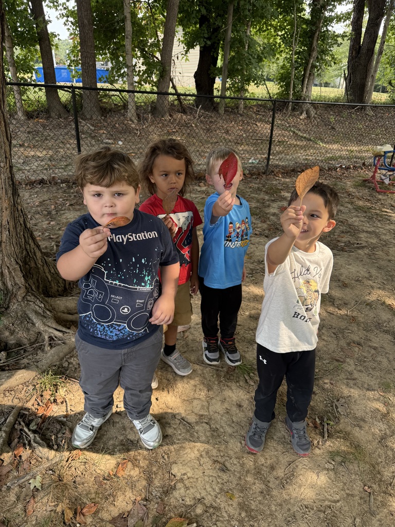 Pre—K students enjoyed finding and exploring leaves on the playground today that had already changed color!