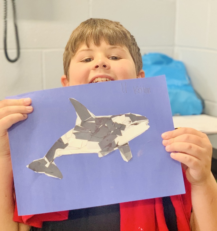Whale