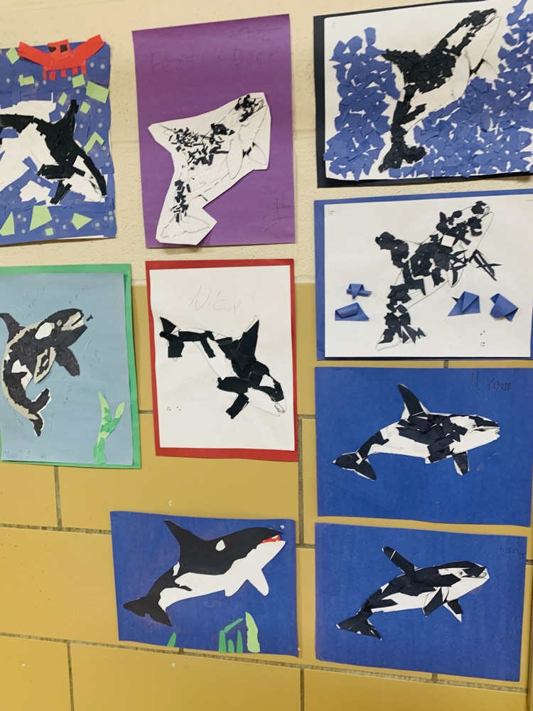 Whales