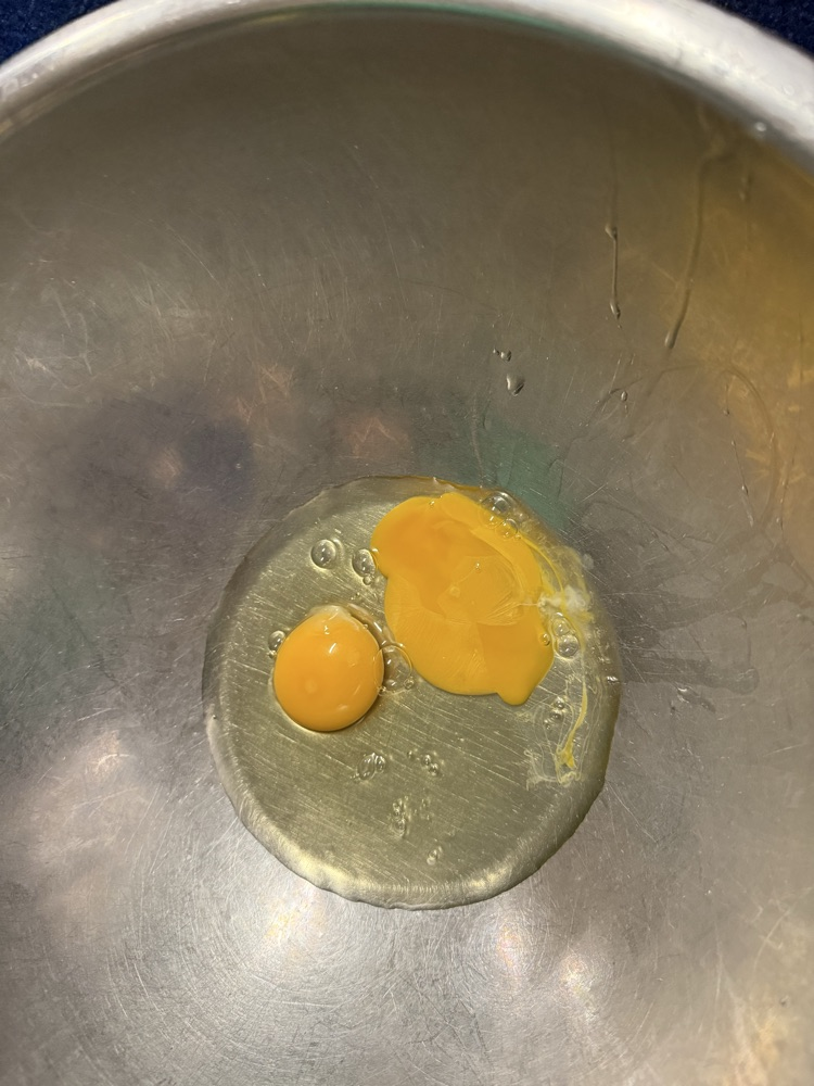 We learned that even though eggs look different on the outside, they look the same on the inside 