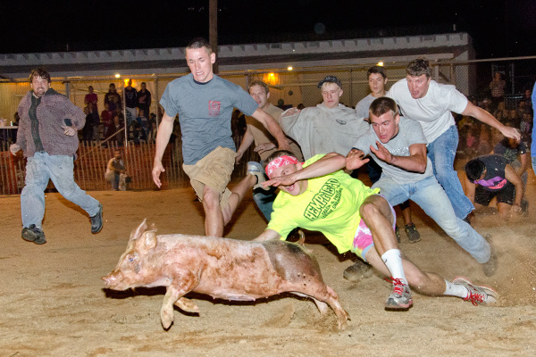 Greased Pig 