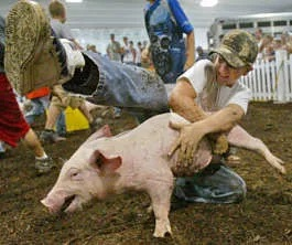 Greased Pig 