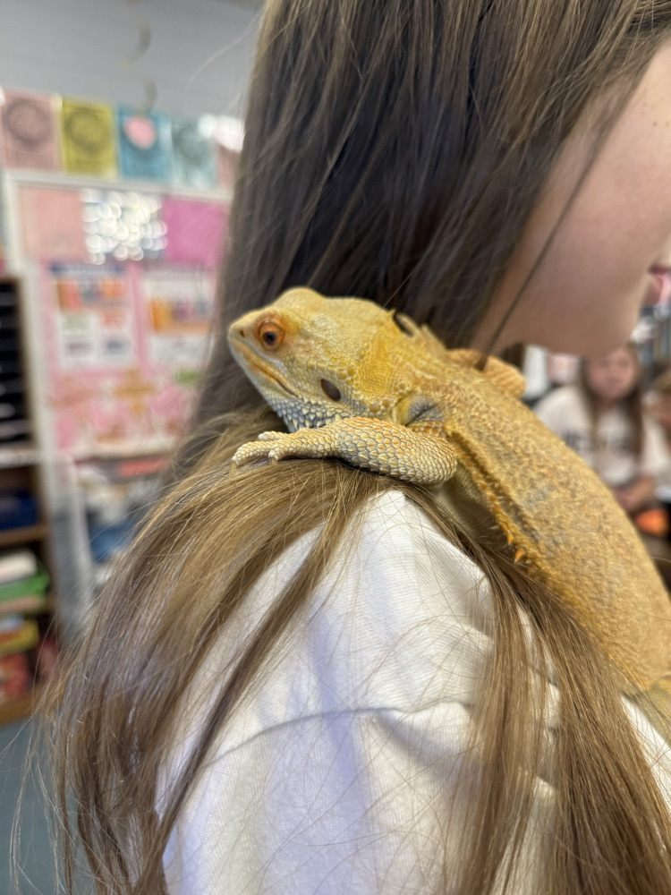 5th Grade had a special visit from TaterTot to celebrate finishing our novel Holes. 