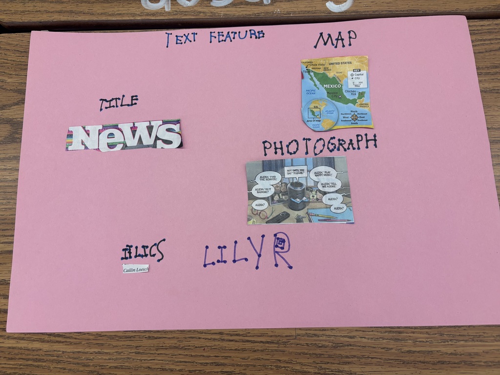 text feature poster created by 3rd grade students