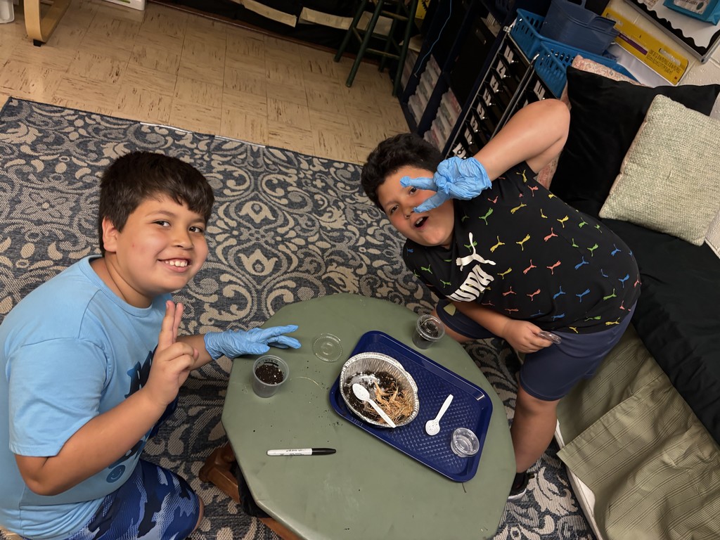 students on the floor making pill bug habitats.