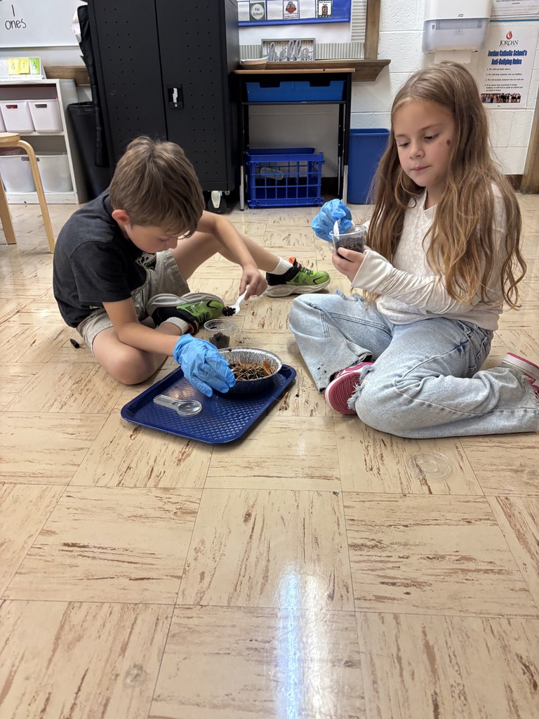 students on the floor making pill bug habitats.