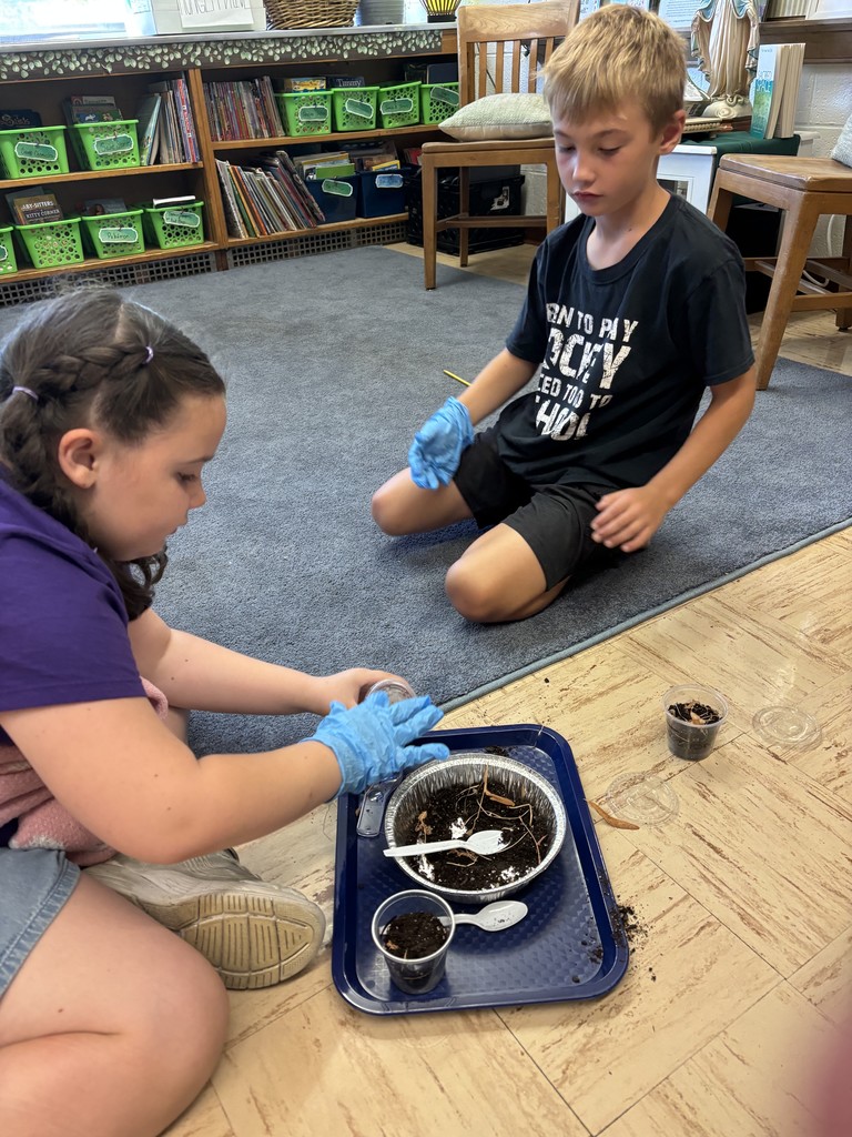 students on the floor making pill bug habitats.