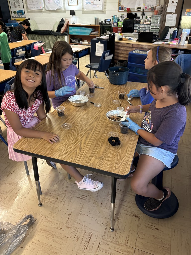 students sitting at a table making pill bug habitats.