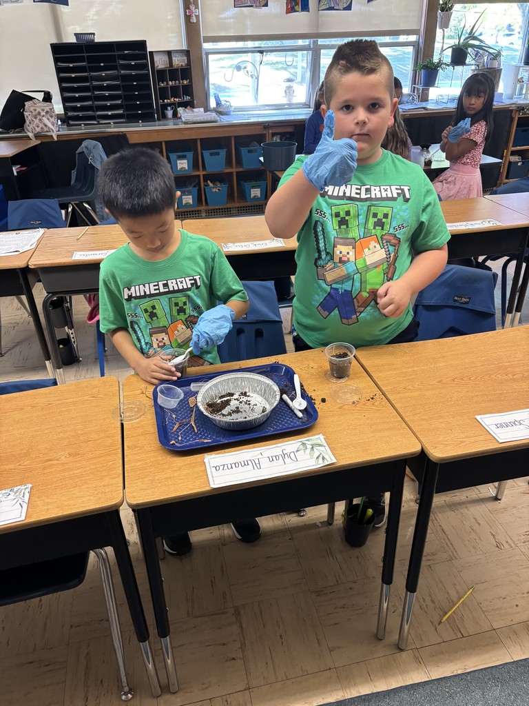 students at their desks making pill bug habitats.