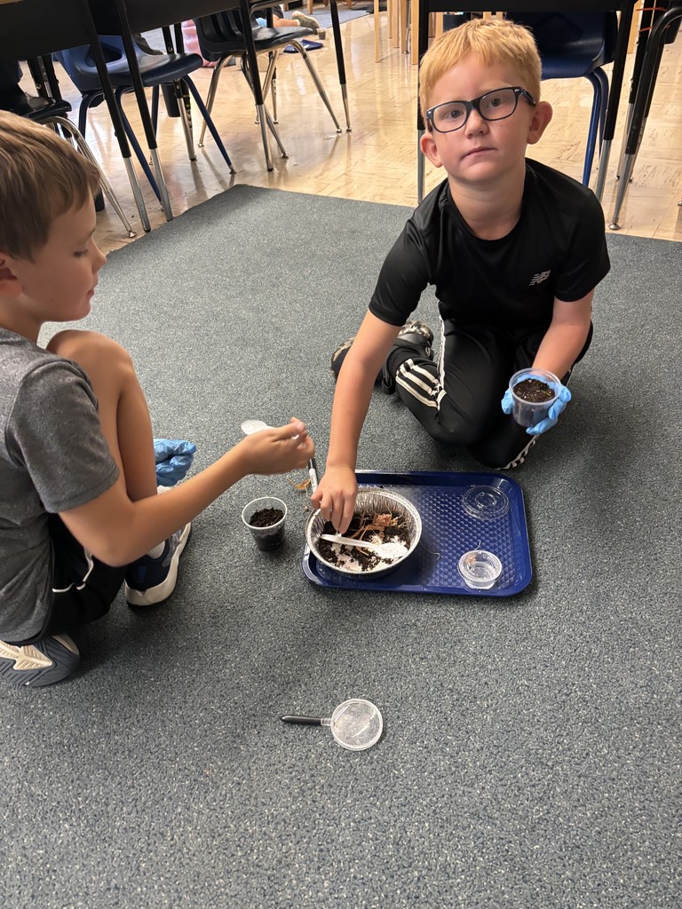 students on the floor making pill bug habitats.