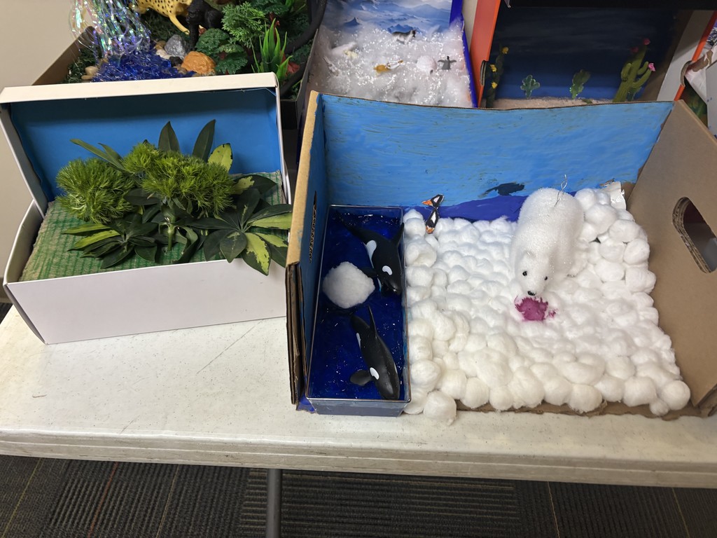 habitat dioramas