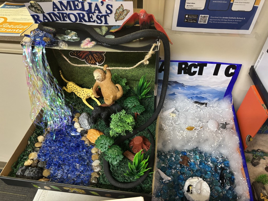 habitat dioramas