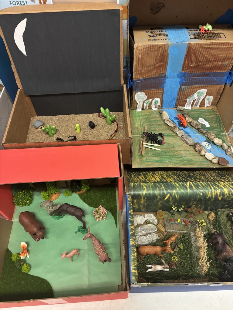 habitat dioramas