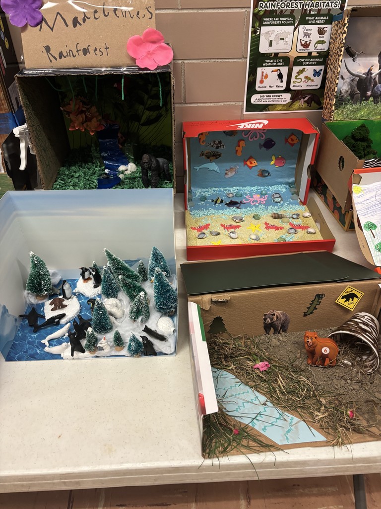 habitat dioramas