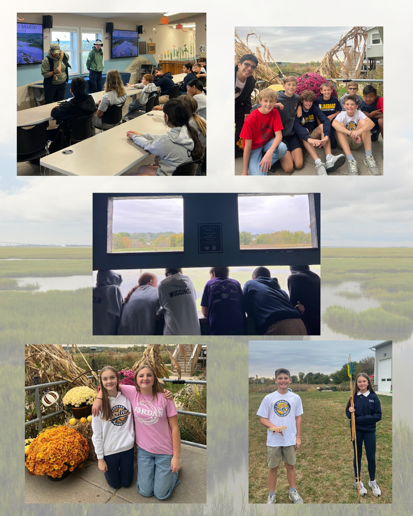 photo collage of students at a field trip to Nahant Marsh