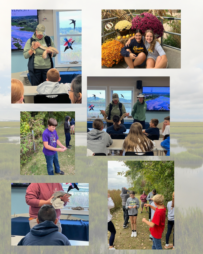 photo collage of students at a field trip to Nahant Marsh