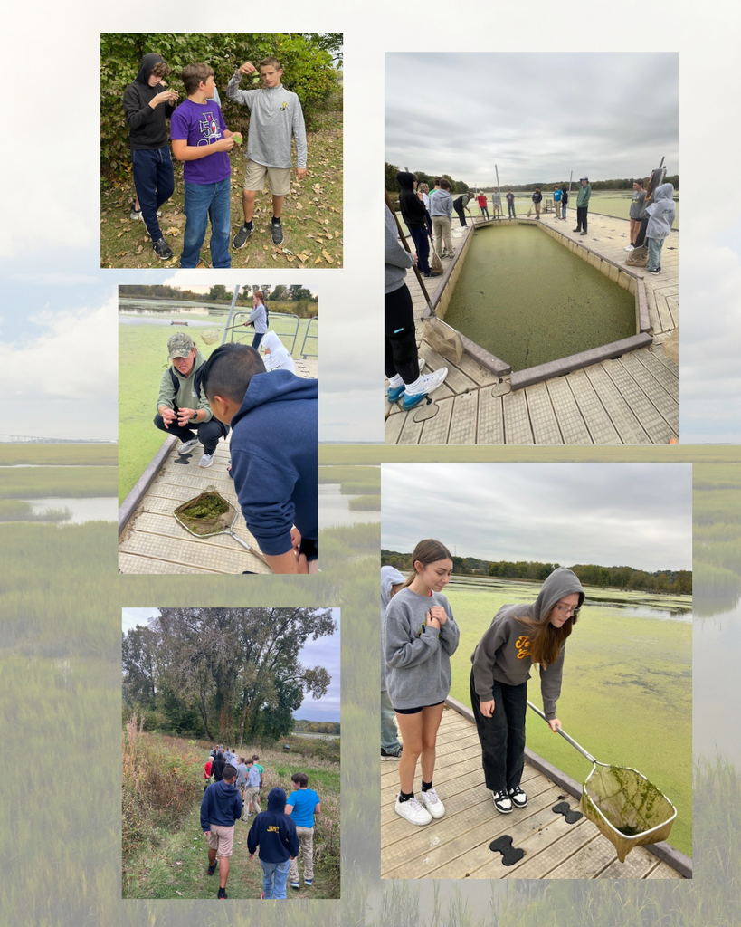photo collage of students at a field trip to Nahant Marsh