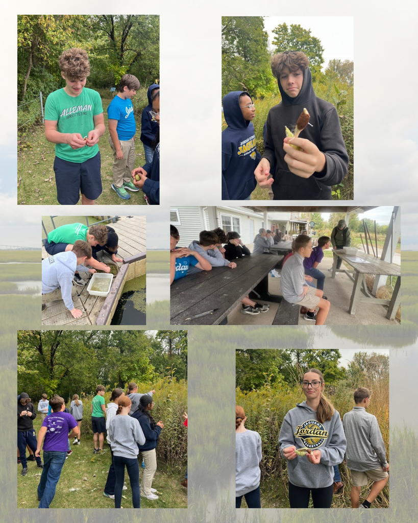 photo collage of students at a field trip to Nahant Marsh