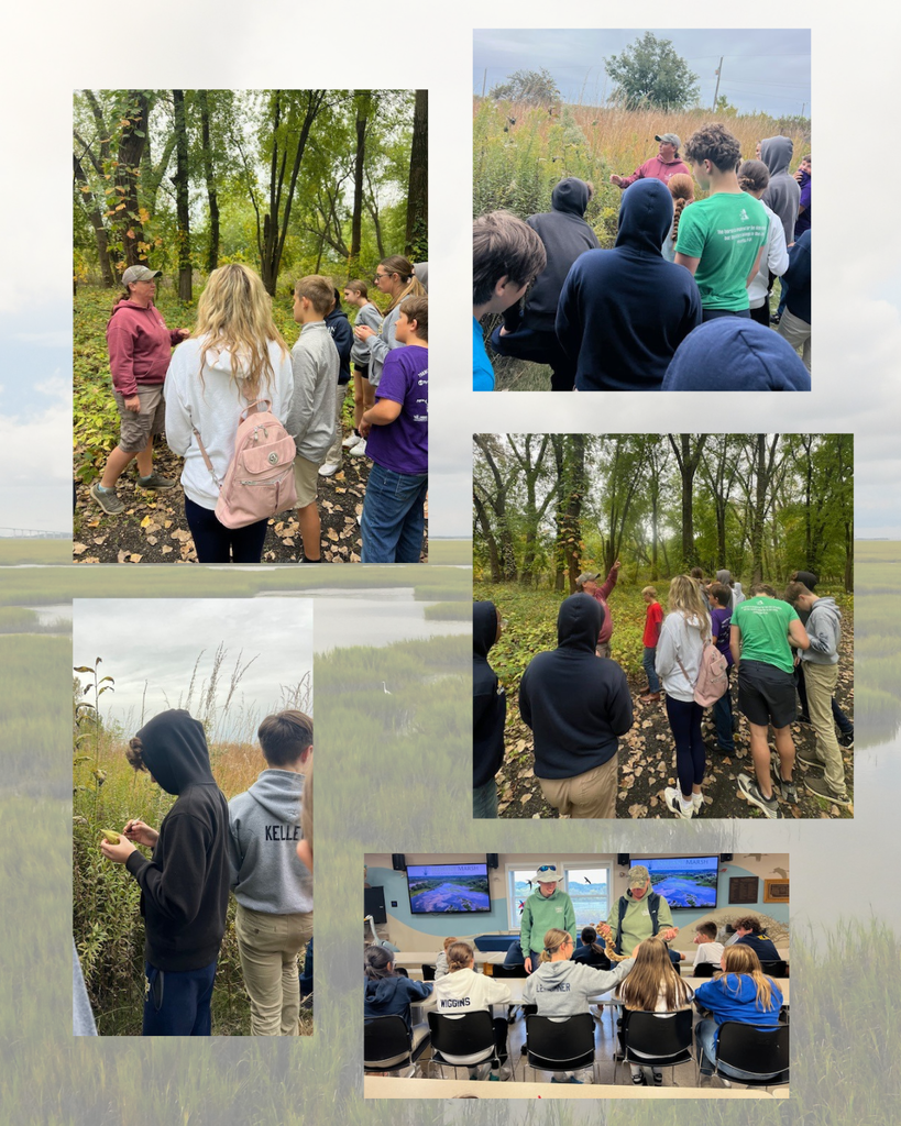 photo collage of students at a field trip to Nahant Marsh
