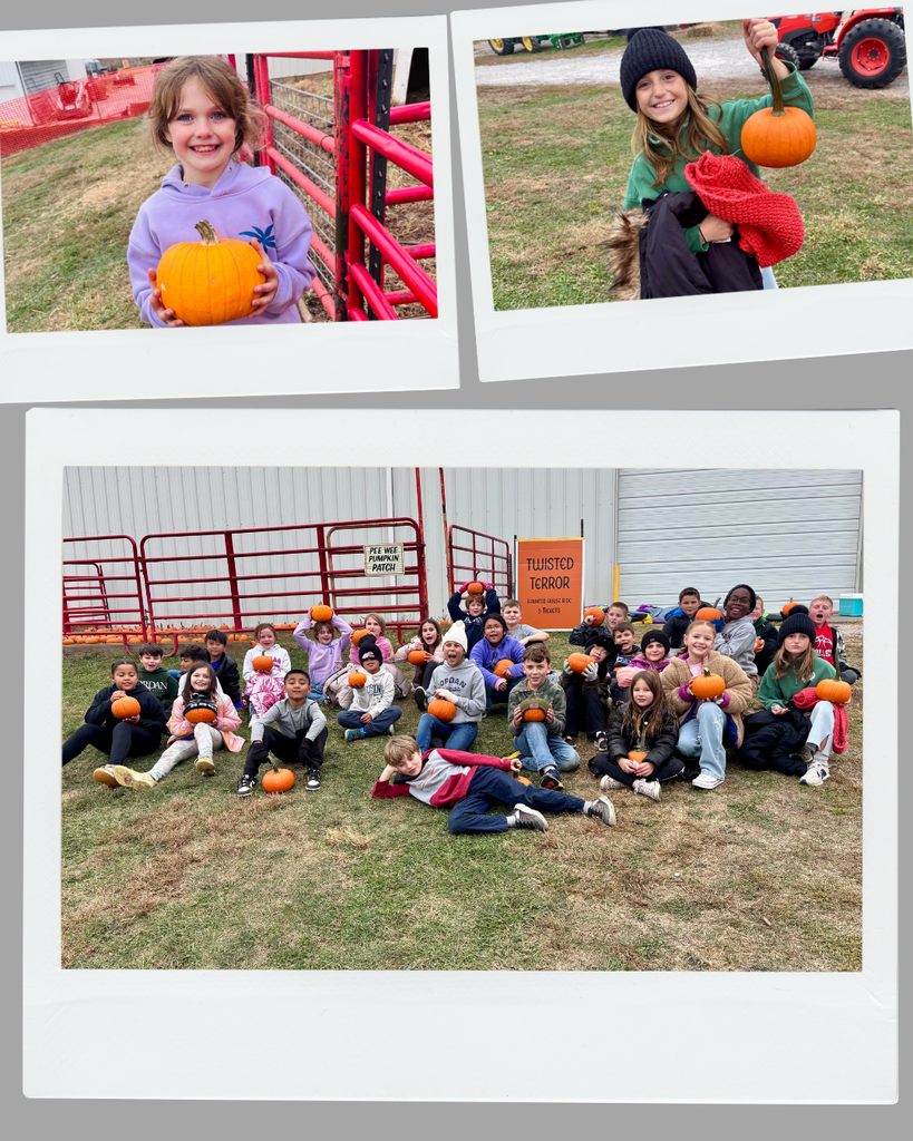 photo collage of students at a pumpkin patch