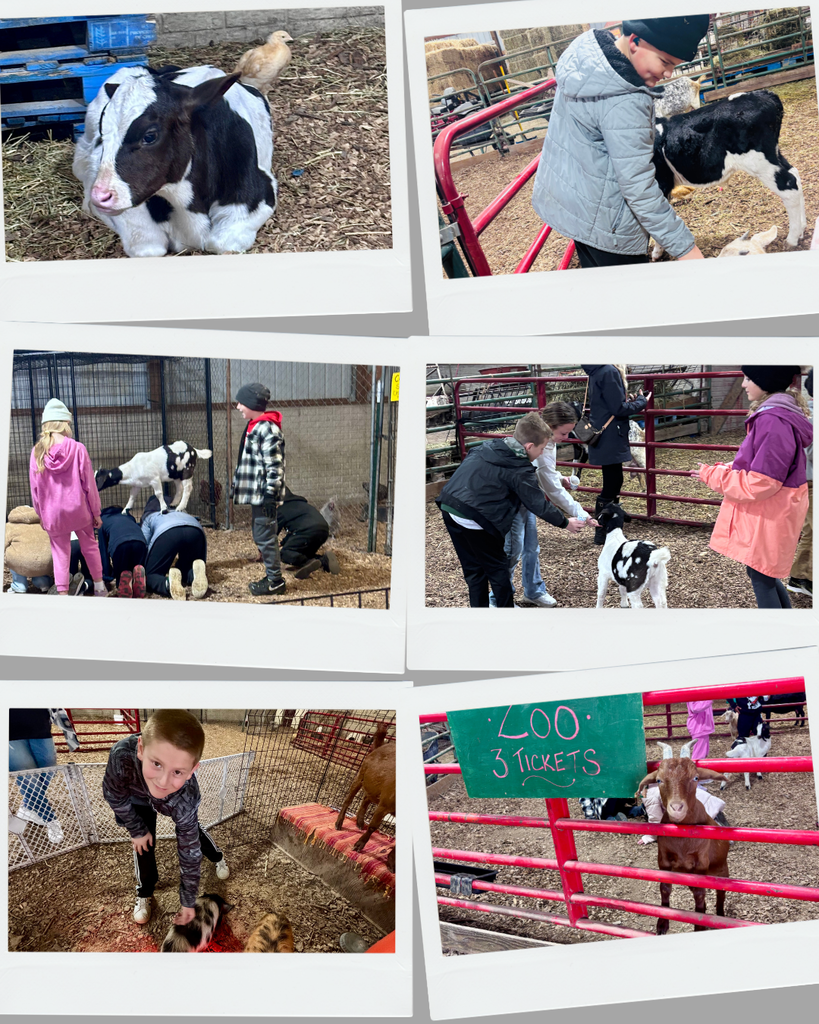 photo collage of students at a pumpkin patch