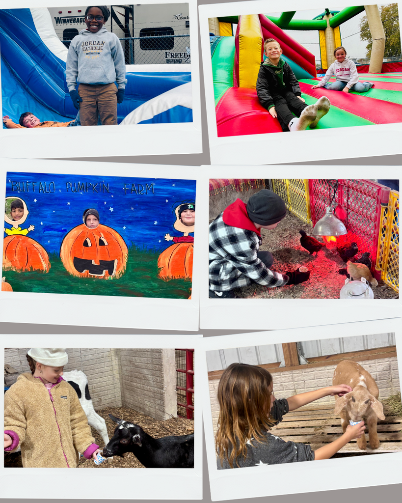 photo collage of students at a pumpkin patch