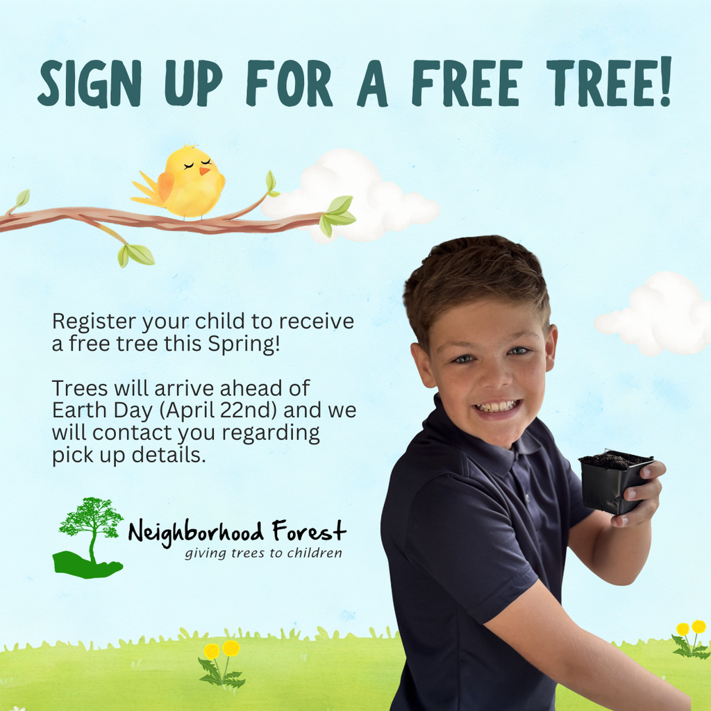 blue background with yellow bird in corner and child holding potted plant