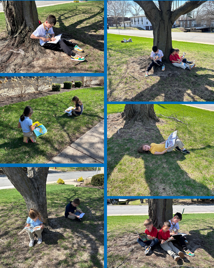 photo collage of students reading outside