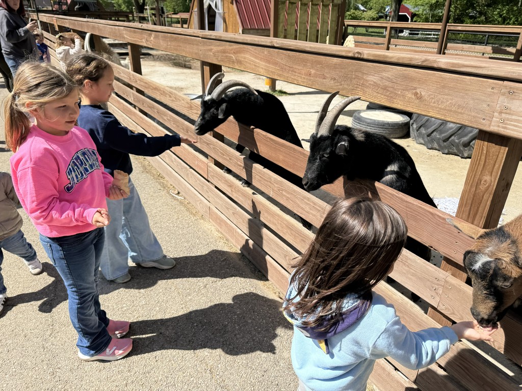 kids feeding goats