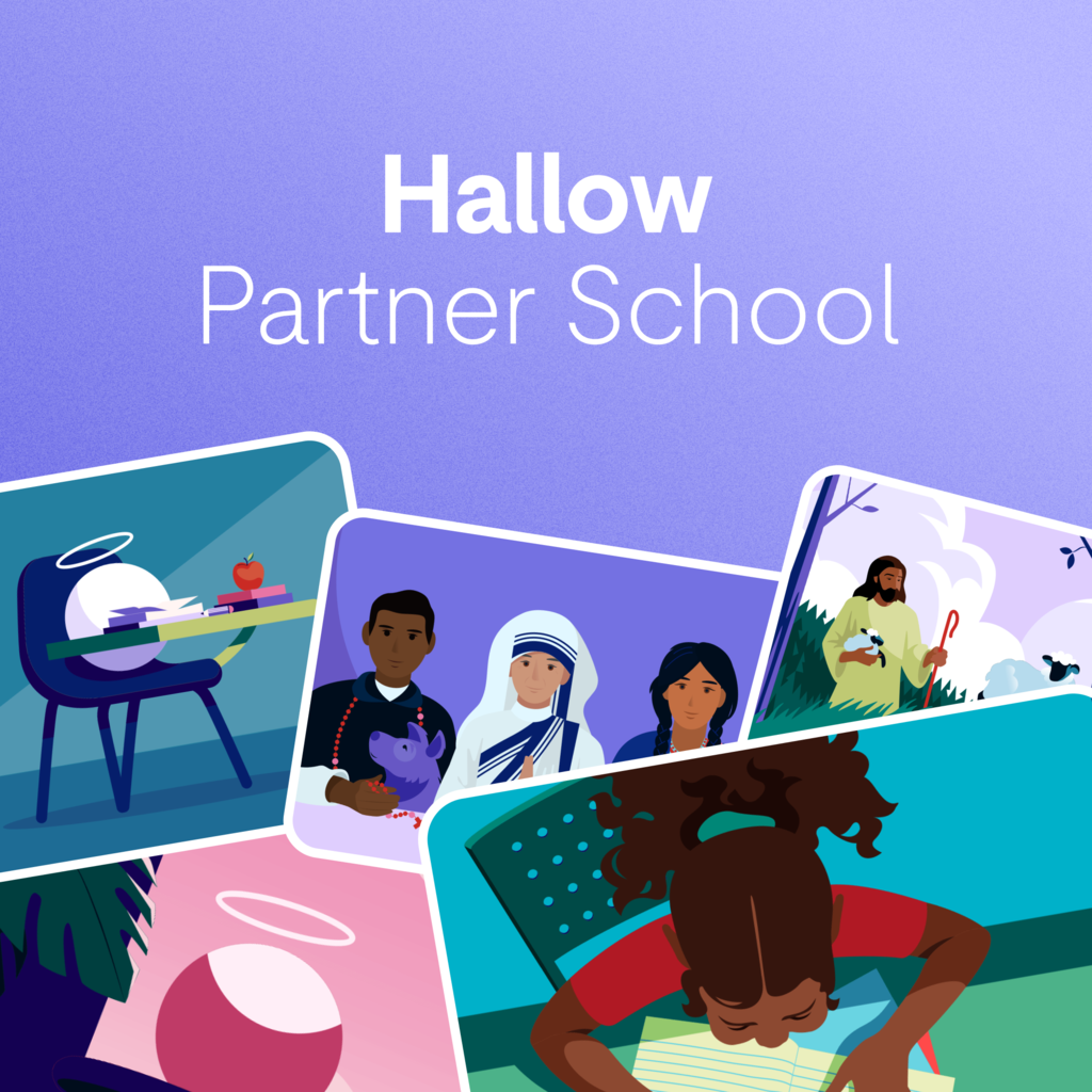 hallow for schools