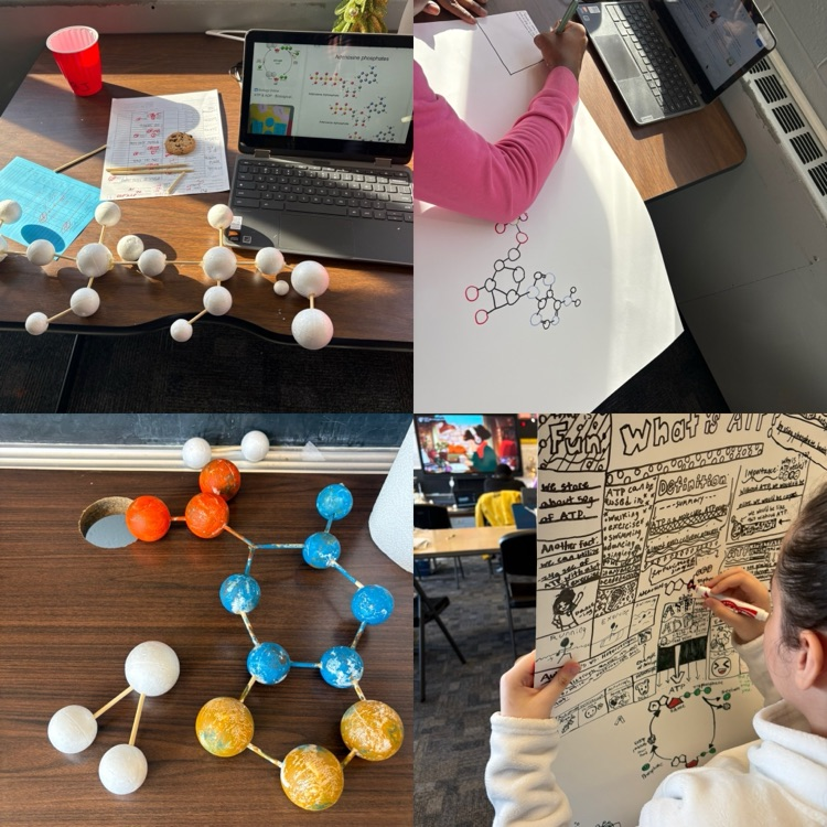 image of science project 