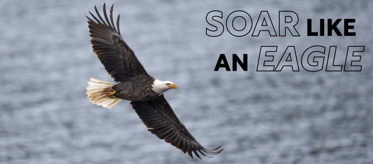 eagle