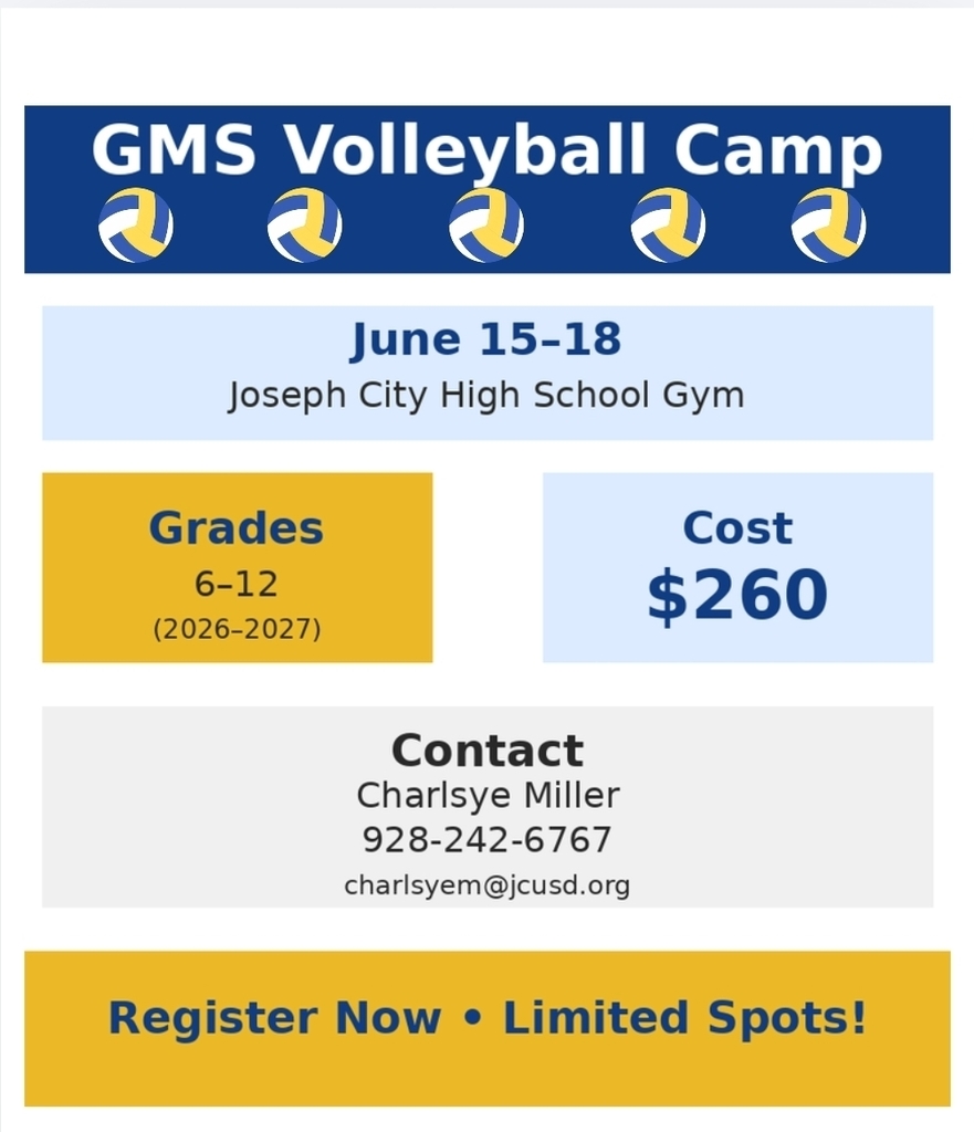 vb flyer