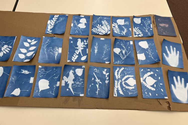 cyanotype prints