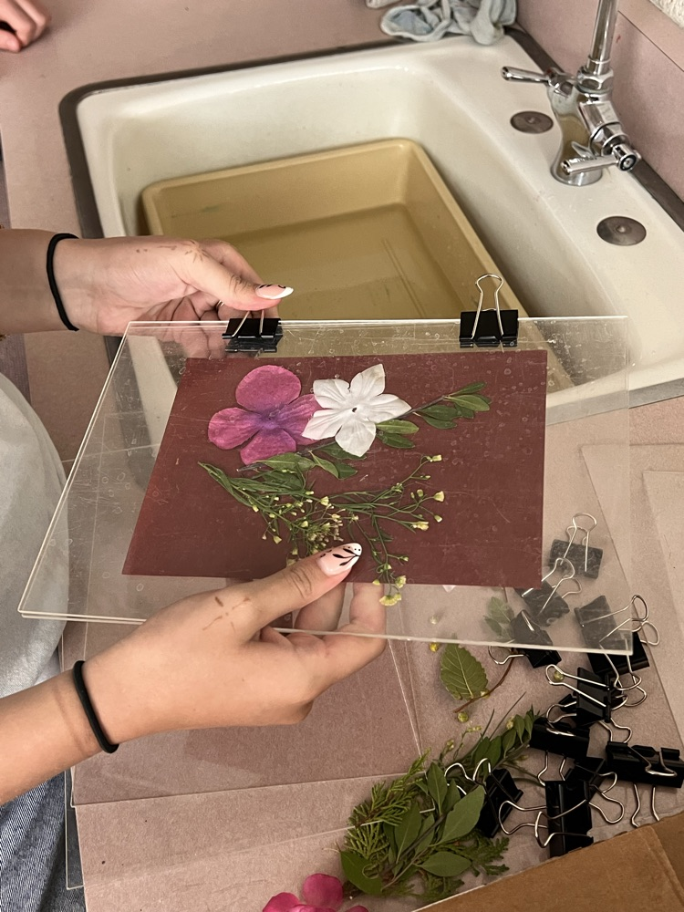 print rinse