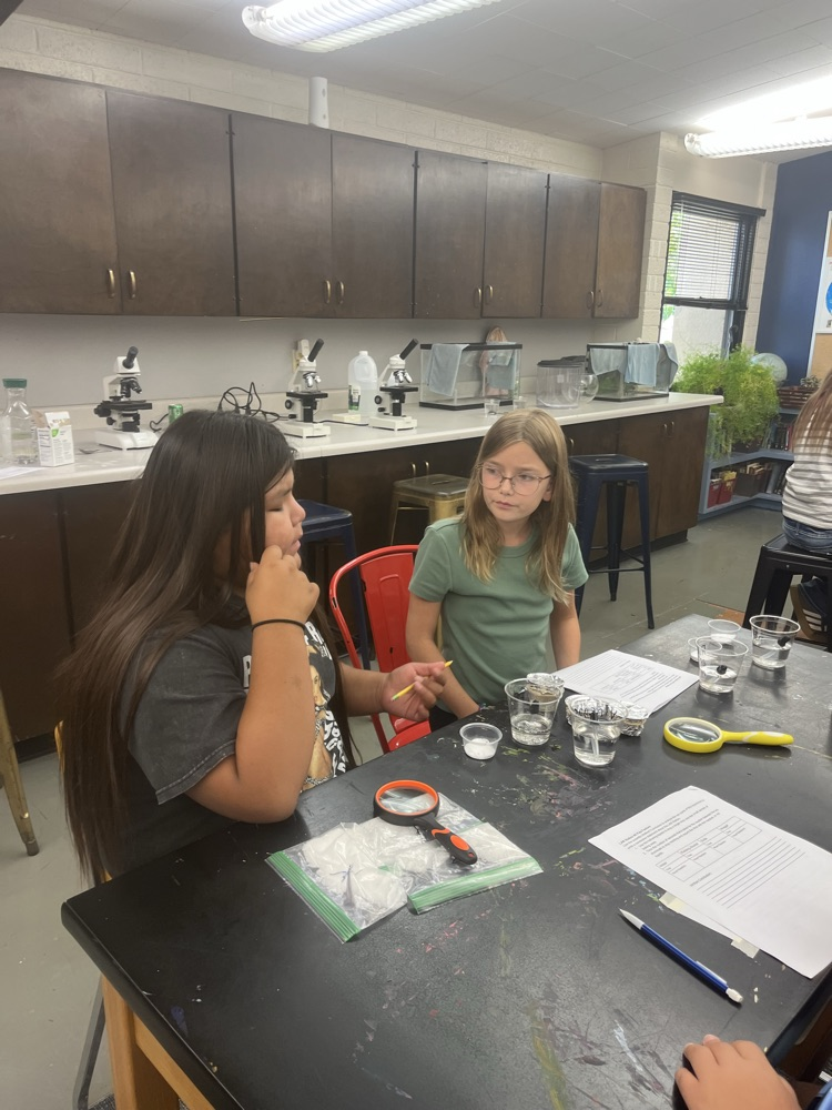 Sixth grade using inductive reasoning