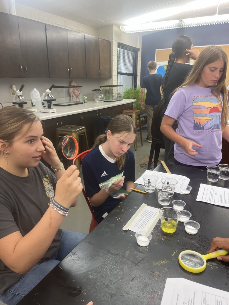 Chemical fizz test strengthens students observational skills.