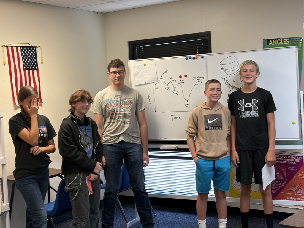 Students showing their graphical representation of the emotional journey for the boy in “The Giving Tree”.