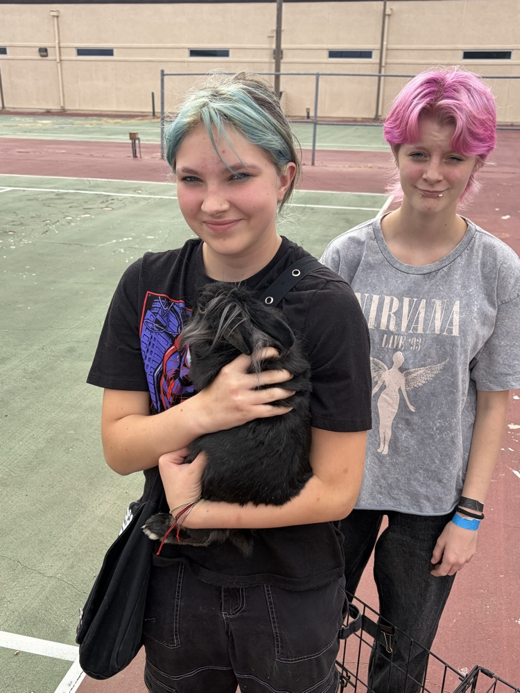 Elvis going into his new home!