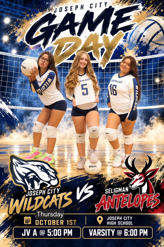 Game Day Poster