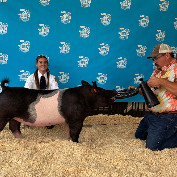 Utah State Fair