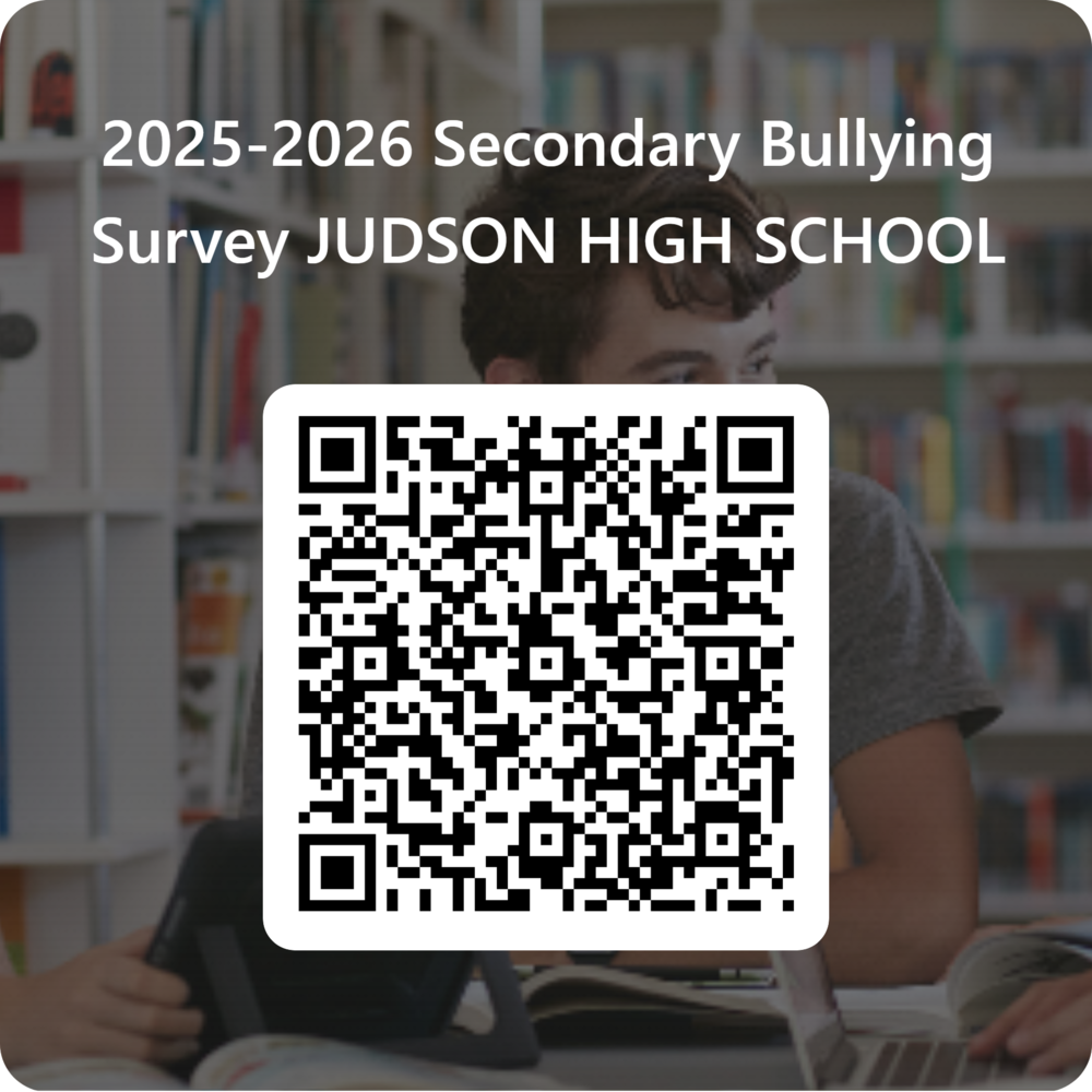 Secondary bullying Survey