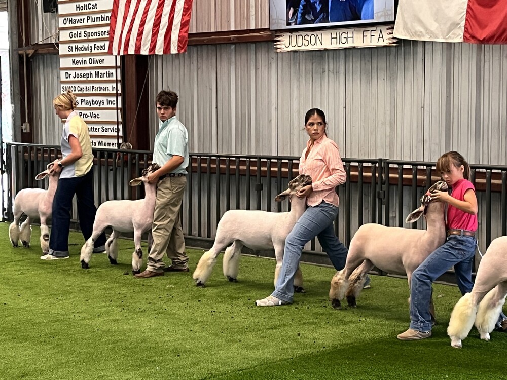 FFA