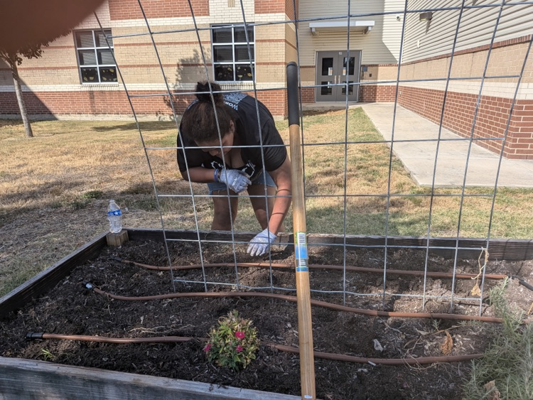 JLA planting