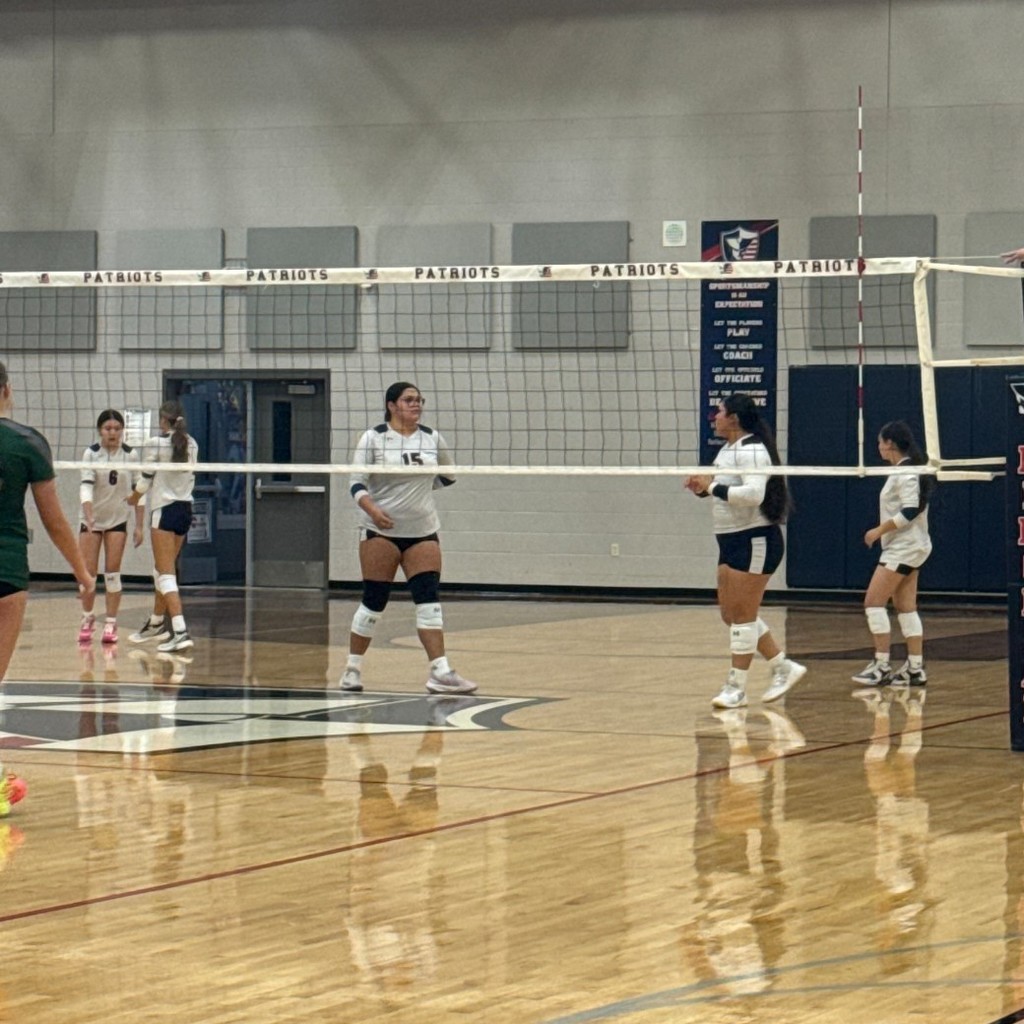 volleyball net and players