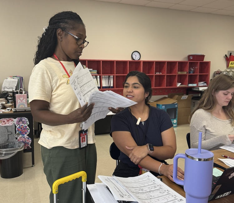 two teachers collaborating 