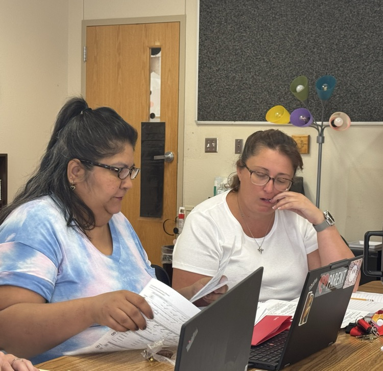two teachers collaborating 