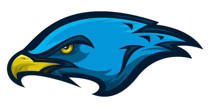Falcon Head