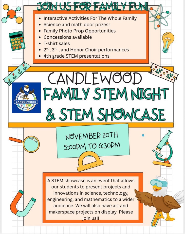 stem flyer